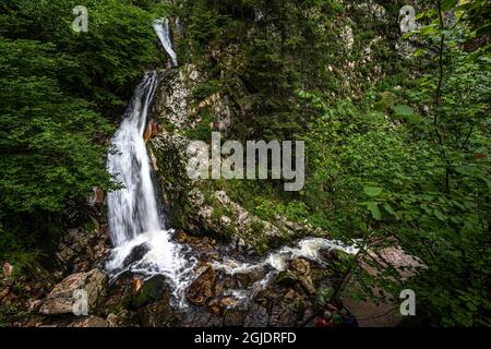 Lierbach-Wasserfälle im Schwarzwald, Deutschland Stockfoto