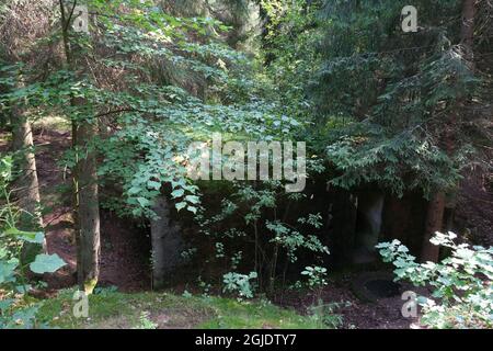 Polom, Polen - 16. Juli 2021: Ein gut erhaltener deutscher Festungsweg im Szczytno-Wald. Strategische Verteidigungslinie. Bunker, Kasematte Stockfoto