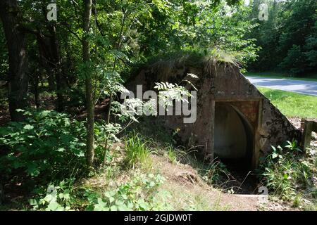 Polom, Polen - 16. Juli 2021: Ein gut erhaltener deutscher Festungsweg im Szczytno-Wald. Strategische Verteidigungslinie. Bunker, Kasematte Stockfoto