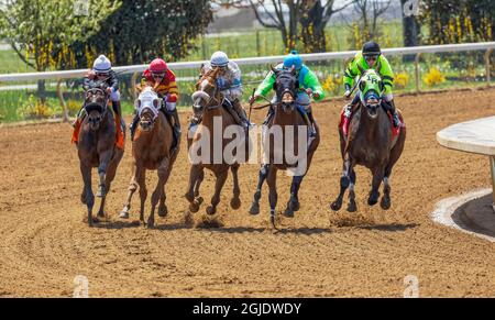 Vollblut-Pferderennen auf der Keeneland-Rennstrecke beim Spring Meet, Lexington, Kentucky. (Nur Für Redaktionelle Zwecke) Stockfoto