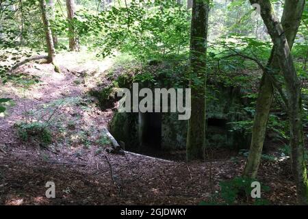 Polom, Polen - 16. Juli 2021: Ein gut erhaltener deutscher Festungsweg im Szczytno-Wald. Strategische Verteidigungslinie. Bunker, Kasematte Stockfoto