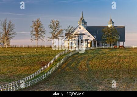 Manchester Horse Farm, Lexington, Kentucky Stockfoto