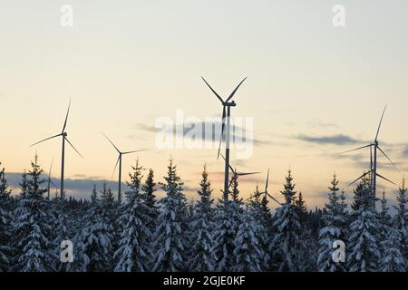 Der Windpark in Askalen in Jamtland, Schweden. Foto: Johanna Hanno / TT / Code 4854 Stockfoto