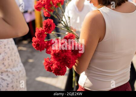 Nelken in den Händen eines Mädchens. Rote Blumen bei einer Frau. Gedenkblumen an den Feiertag. Blütenblätter von Blütenständen an langen Stielen in den Händen o Stockfoto