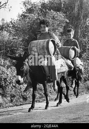 1973-09-21 zwei Jungen auf ihren Eseln vor Skikda. Sie fahren nach Hause, nachdem sie Gasflaschen für 10 Dinar gekauft haben. Foto: Stig A Nilsson / DN / TT / Code 43 Stockfoto