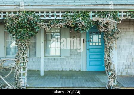 USA, New England, Massachusetts, Nantucket Island, Siasconset, Efeu bedeckt Cottage Stockfoto