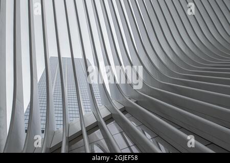 NY CITY, USA - 07. Apr 2021: Das World Trade Center in New York City, USA Stockfoto