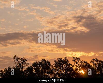 Sonnenaufgang über der Prärie, Murphy-Hanrahan Regional Park, Central Minnesota (südlich von Minneapolis) Stockfoto