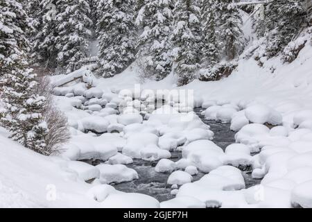 Snow Pillows, Lamar Valley, Yellowstone National Park, Montana. Stockfoto