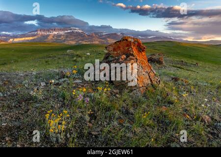 Farbenfrohe, verstreute Moräne mit Castle Reef entlang der Rocky Mountain Front in der Nähe von Augusta, Montana, USA Stockfoto