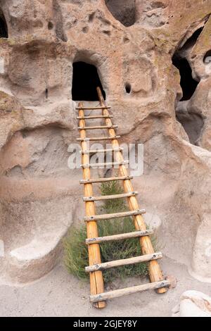 USA, New Mexico. Bandeler National Monument, Leiter führt zum Eingang des Wohnhauses, das in weichen, vulkanischen Felsen namens Tuff im Frijoles Canyon gehauen ist. Stockfoto