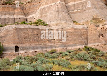 USA, New Mexico. Kasha-Katuwe Tent Rocks National Monument, steile Klippen aus erodiertem, vulkanischem Tuff über Sträuchern und kleinen Bäumen. Stockfoto