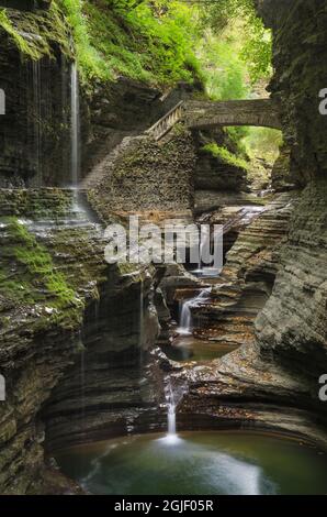 USA, New York. Wasserfälle entlang des Gorge Trail, Watkins Glen State Park. Stockfoto