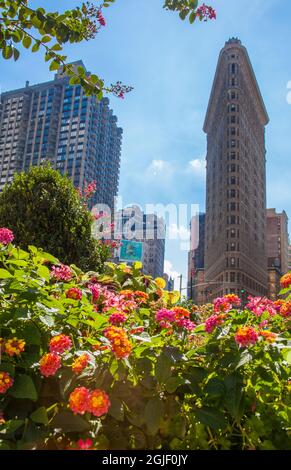 Flatiron-Gebäude in Manhattan, New York. Stockfoto