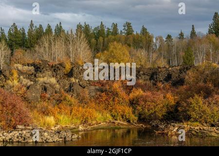 Herbst, Lava Island Falls Trail, Deschutes River, Deschutes National Forest, Oregon, USA Stockfoto