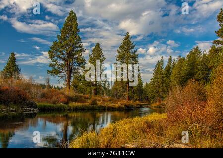 Herbst, Lava Island Falls Trail, Deschutes River, Deschutes National Forest, Oregon, USA Stockfoto