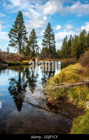 Herbst, Lava Island Falls Trail, Deschutes River, Deschutes National Forest, Oregon, USA Stockfoto