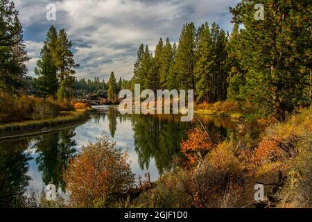 Herbst, Lava Island Falls Trail, Deschutes River, Deschutes National Forest, Oregon, USA Stockfoto