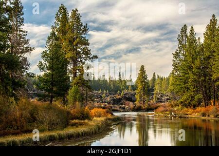 Herbst, Lava Island Falls Trail, Deschutes River, Deschutes National Forest, Oregon, USA Stockfoto