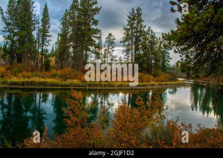 Herbst, Lava Island Falls Trail, Deschutes River, Deschutes National Forest, Oregon, USA Stockfoto