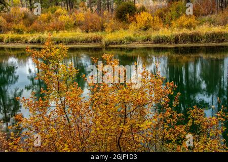 Herbst, Lava Island Falls Trail, Deschutes River, Deschutes National Forest, Oregon, USA Stockfoto