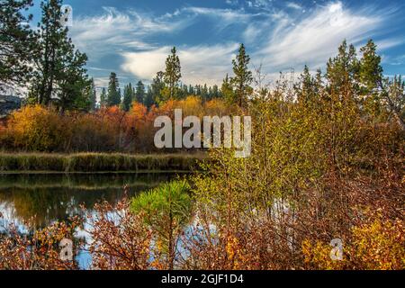 Autumn, Lava Island Falls Trail, Deschutes River, Deschutes National Forest, Oregon, USA Stockfoto