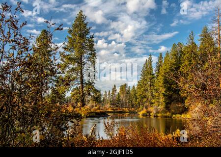 Autumn, Lava Island Falls Trail, Deschutes River, Deschutes National Forest, Oregon, USA, Stockfoto