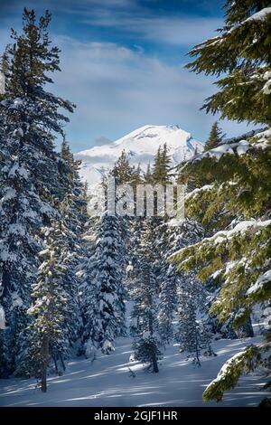 USA, Oregon, Deschutes National Forest, South Schwester von Mt. Tumalo im Winter Stockfoto