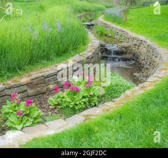 USA, Pennsylvania, Wayne und Chanticleer Gardens mit kleinen Bachkerzen und Kamas Stockfoto