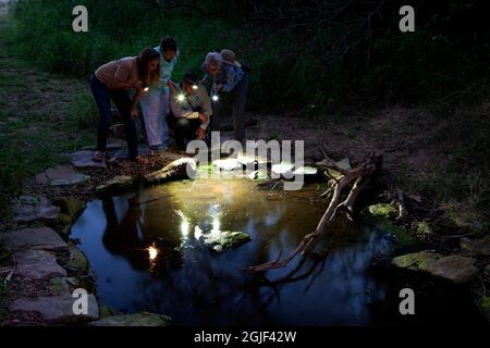 Meistere Naturforscher auf der Suche nach Nachtgeschöpfen. Stockfoto