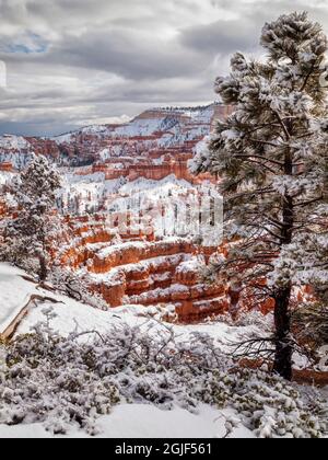USA, Utah, Bryce Canyon National Park, Sonnenlicht nach einem frischen Schneefall Stockfoto