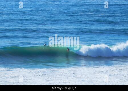 Surfer auf einer perfekten Welle Stockfoto