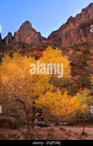 USA, Utah, Zion National Park. Cottonwood Bäume und Felsformationen. Stockfoto