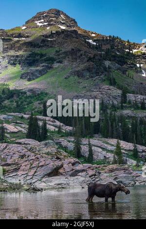 Wasatch Mountains in der Nähe von Lake Blanche und Salt Lake City, Utah, USA. Stockfoto