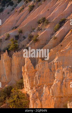 USA; Utah; Bryce Canyon National Park; farbenfrohe, erodierte Hoodoos, Grate und Täler unterhalb von Boat Mesa am frühen Morgen; in der Nähe von Fairyland Point. Stockfoto