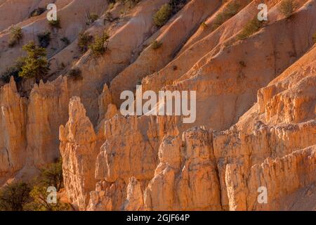 USA; Utah; Bryce Canyon National Park; farbenfrohe, erodierte Hoodoos, Grate und Täler unterhalb von Boat Mesa am frühen Morgen; in der Nähe von Fairyland Point. Stockfoto