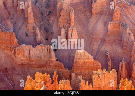 USA, Utah, Cedar Breaks National Monument, erodierte Sandsteinformationen unterhalb von Point Supreme an einem Oktoberabend. Stockfoto