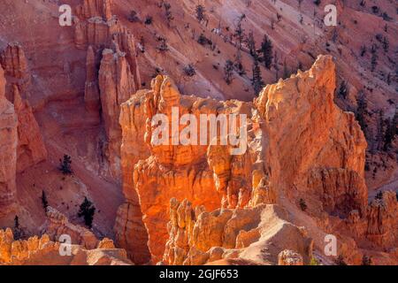 USA, Utah, Cedar Breaks National Monument, erodierte Sandsteinformationen unterhalb von Point Supreme an einem Oktoberabend. Stockfoto