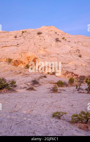 USA, Utah, Grand Staircase - Escalante National Monument, Morgenhimmel über erodiertem Navajo-Sandstein mit verstreuten Pinien; in der Nähe des Burr Trail. Stockfoto