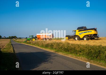 New Holland CX8080 auf einem Feld an sonnigen Sommertagen Frankreich, Bretagne 25 August 2021. Gelbe Mähdrescherernte auf Getreidefeld. Sommerernte. Harve Stockfoto