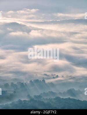 USA, Virginia, Blue Ridge Parkway, Morgennebel im Rockfish Valley Stockfoto