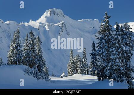 USA, Staat Washington. Tafelberg im Winter, Heather Meadows Erholungsgebiet, North Cascades. Stockfoto