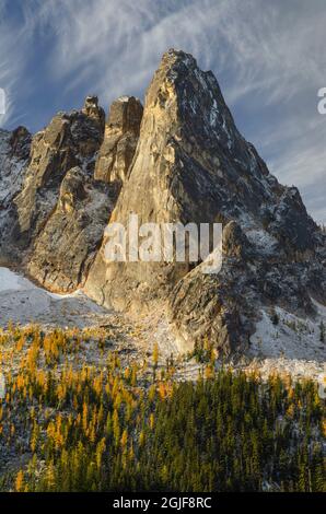 Liberty Bell Mountain Early Winters Spitzen und goldene Herbstlärchen. Vom Washington State Pass aus gesehen. North Cascades, Bundesstaat Washington Stockfoto