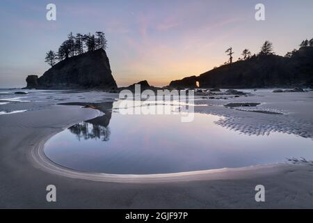 Second Beach Gezeitenbecken während der Dämmerung oder zur Blauen Stunde, Olympic National Park in der Nähe von La Push, Washington State Stockfoto