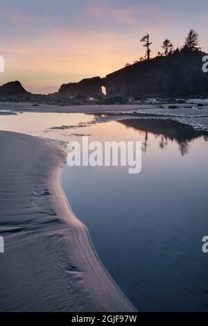 Second Beach Gezeitenbecken während der Dämmerung oder zur Blauen Stunde, Olympic National Park in der Nähe von La Push, Washington State Stockfoto