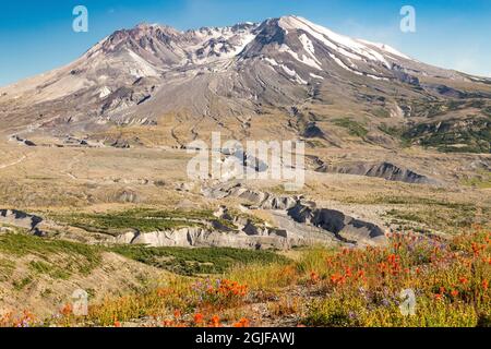 USA, Washington State, Skamania County. Mount St. Helens oder Louwala-Clough ist ein aktiver Stratovulkan. Stockfoto