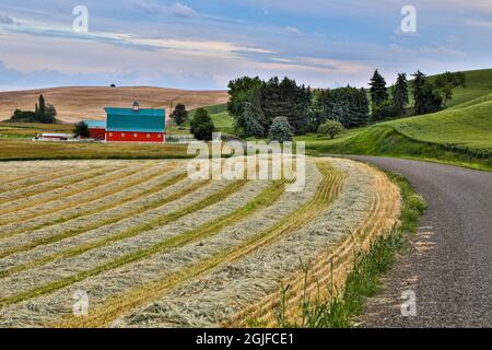 USA, Staat Washington, Palouse. Rote Scheune in der Nähe eines Weizenfeldes in Colfax. Stockfoto