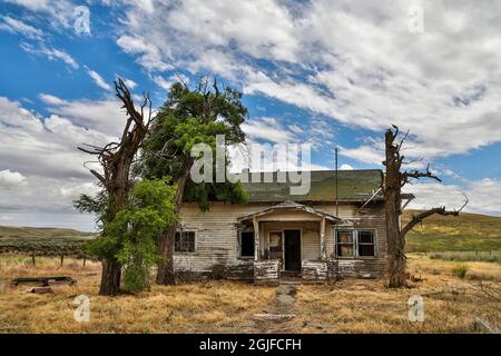 USA, Staat Washington, Palouse. Verlassene Haus in Washtucna. Stockfoto