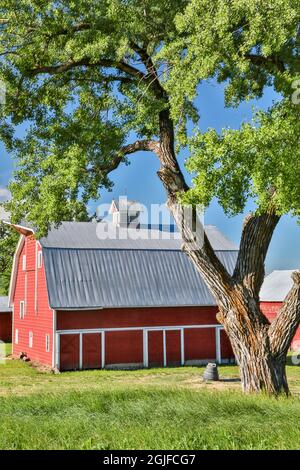USA, Staat Washington, Palouse. Rote Scheune in Colfax. Stockfoto