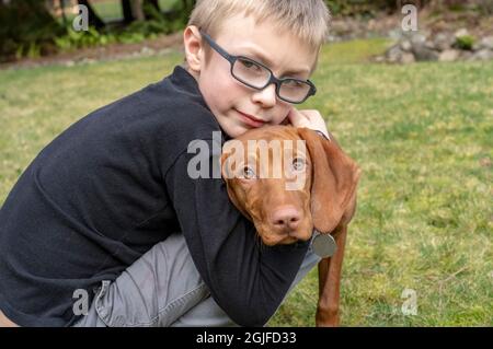 Sechs Jahre alter Junge umarmt seinen fünf Monate alten Vizsla Welpen. (PR, MR) Stockfoto